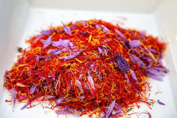 istock Saffron pile, flower stamens and petals close up. Crocus separation process, 1441329491