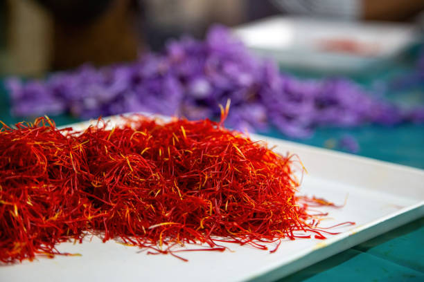 istock Saffron threads pile, close up, purple flower petals background. Crocus stamen separating process 1441329498