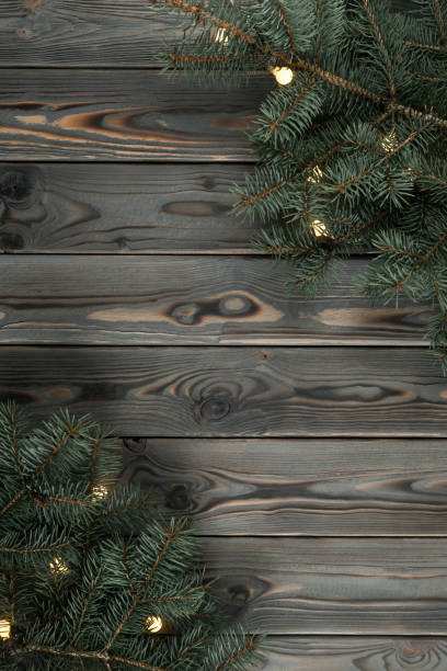 Green fir branches on wooden gray wall, flat lay. Interior decoration from christmas tree and garland lights. Decorative planking for design. Dark hardwood material. New Year or Christmas holiday stock photo