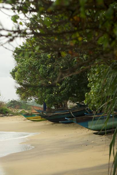 istock Original Sri Lanka with its cultural code and identity. Traffic, national and religious customs, buildings and nature. palm trees and ocean. beach on the island. 1441330791