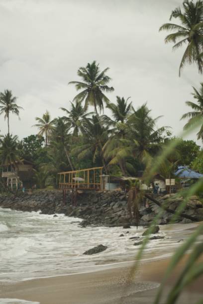 istock Original Sri Lanka with its cultural code and identity. Traffic, national and religious customs, buildings and nature. palm trees and ocean. beach on the island. 1441330847