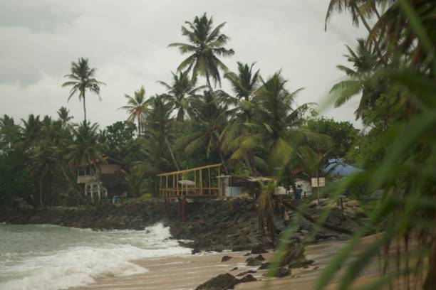 istock Original Sri Lanka with its cultural code and identity. Traffic, national and religious customs, buildings and nature. palm trees and ocean. beach on the island. 1441330864
