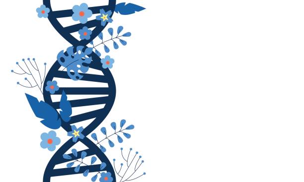 DNA abstract vector background, flowers and leaves. Genetic Code DNA Molecule Structure. DNA virtual, technology and medical concept DNA abstract vector background, flowers and leaves. Genetic Code DNA Molecule Structure. DNA virtual, technology and medical concept genetic screening stock illustrations