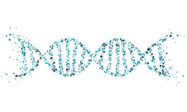 DNA abstract vector background. Genetic Code DNA Molecule Structure. DNA virtual, technology and medical concept DNA abstract vector background. Genetic Code DNA Molecule Structure. DNA virtual, technology and medical concept genetic screening stock illustrations