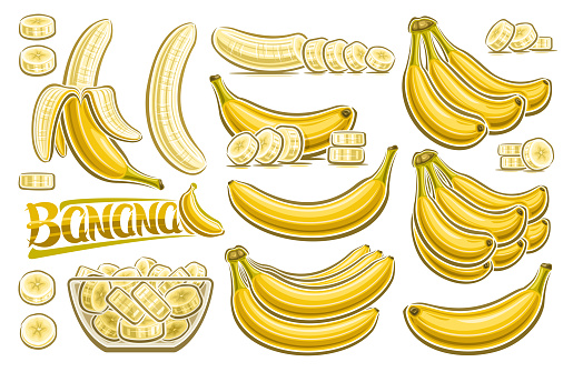 Vector Banana Set, horizontal poster with lot collection of cut out illustrations fruit still life, chopped bananas in transparent dish, group of many variety plantain bunches and yellow word banana