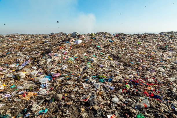 istock Burning trash piles in landfill 1441337614