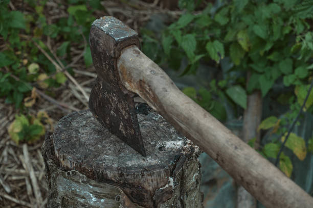 istock Old rusty axe with wooden handle stuck in the stump Large ax in hand 1441338992