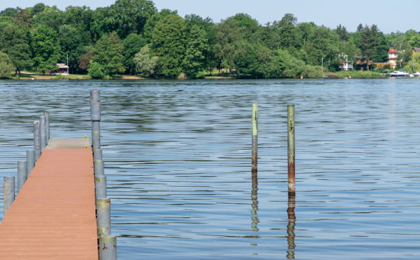 Wooden Posts In Lake Photo taken in Berlin, Germany grunewald berlin stock pictures, royalty-free photos & images