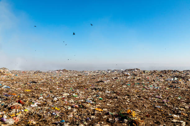 istock Burning trash piles in landfill 1441341143