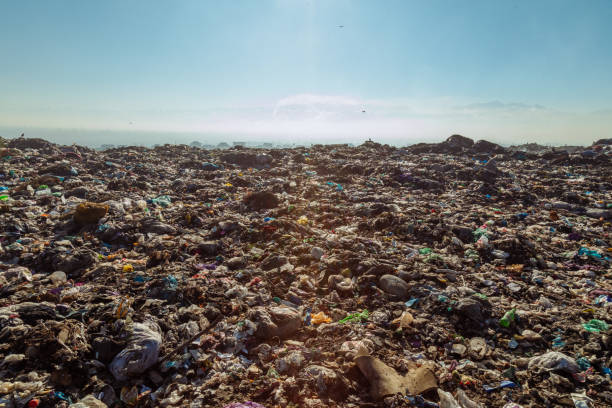 istock Burning trash piles in landfill 1441343766