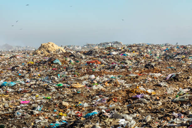 istock Burning trash piles in landfill 1441343920