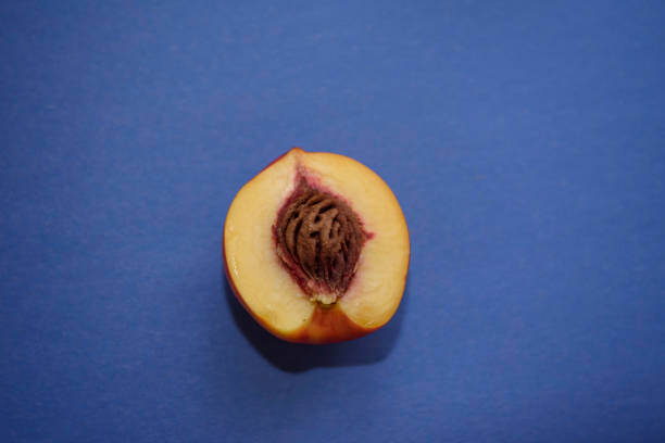 donut peaches. flat peaches on the background