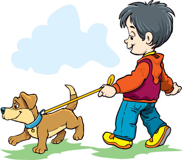 милый маленький мальчик выгуливает собаку - dog walking child little boys stock illustrations