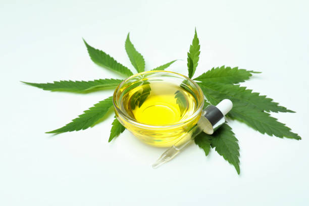 istock Cannabis leaves, pipette and oil on white background 1441352293