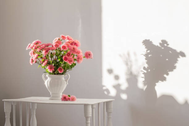 istock pink chrysanthemums in white vase on white interior 1441354183