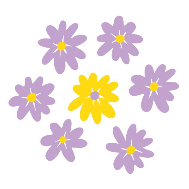 ilustraciones, imágenes clip art, dibujos animados e iconos de stock de conjunto de flores vectoriales. manzanillas de dibujos animados de color lila - chamomile plant chamomile bouquet wildflower