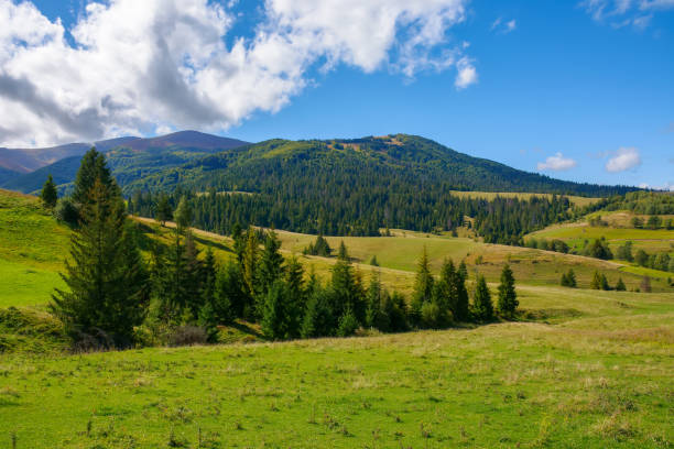 istock mountainous rural scenery in september 1441354993