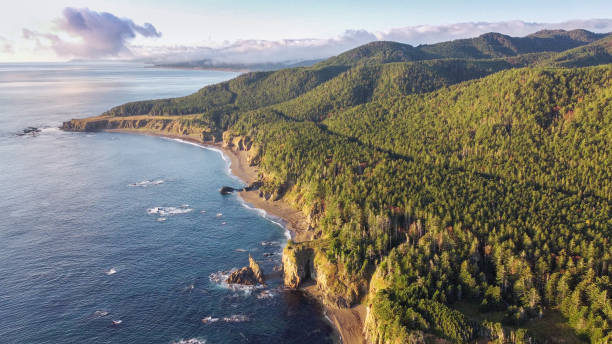 vista aerea dell'alba nell'uccello del capo sakhalin, russia - isola di sakhalin foto e immagini stock