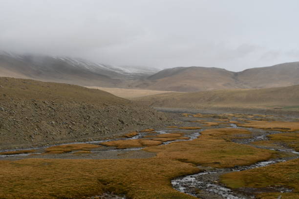 istock Tso Moriri to Lachung La, Ladakh (India) 1441356799