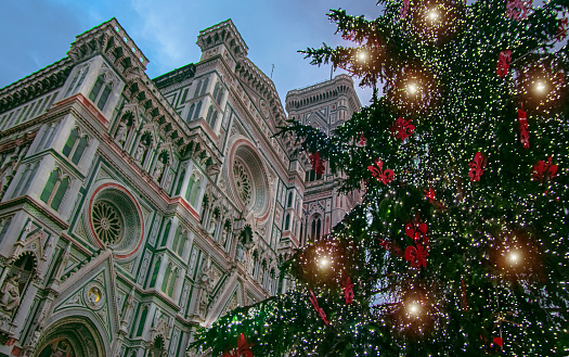 Christmas tree near Santa Maria del Fiore, the main church of Florence