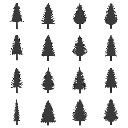 Pine tree vector set