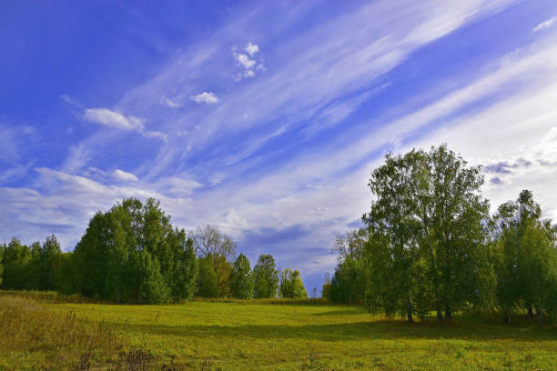 Autumn sky with light cloudiness of cirrus and stratus clouds