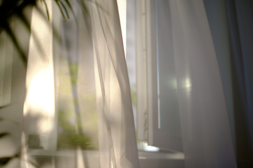 wind blows through the open window in the room. white curtain veil from an open window. Sunny day, the sun's rays sunlight penetrate see transparent tulle the room. fresh air fills the room