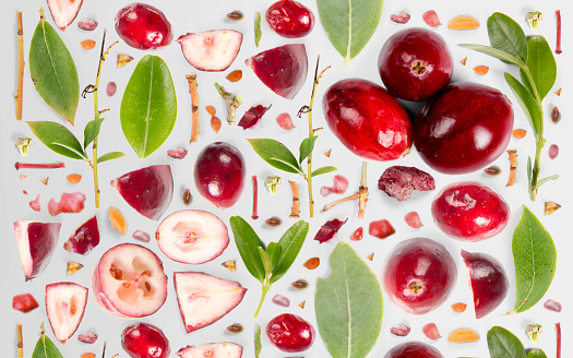 Cranberry fruit piece, slice and leaf collection. Flat lay, seamless abstract background.