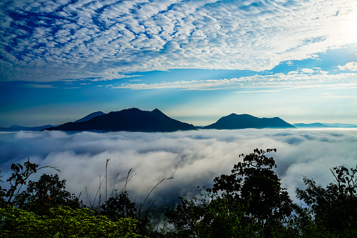 Sea of ​​mist, mountains in the morning, Phu Thok, Chiang Khan in Thailand