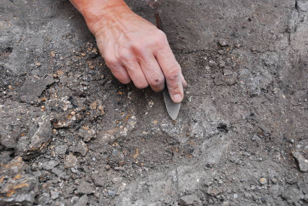 istock Professional Archaeological excavations, archaeologists work, dig up an ancient clay artifact with special tools in soil 1441368793