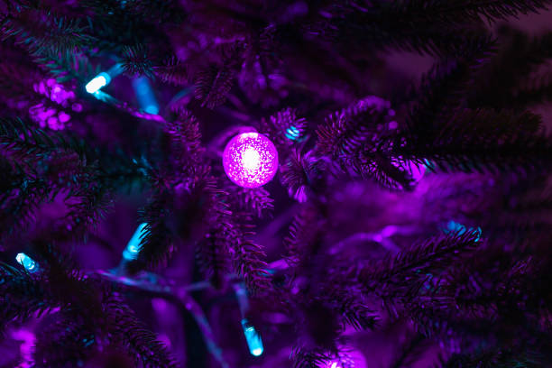 istock Christmas tree branches with LED lights in the dark close-up 1441369285