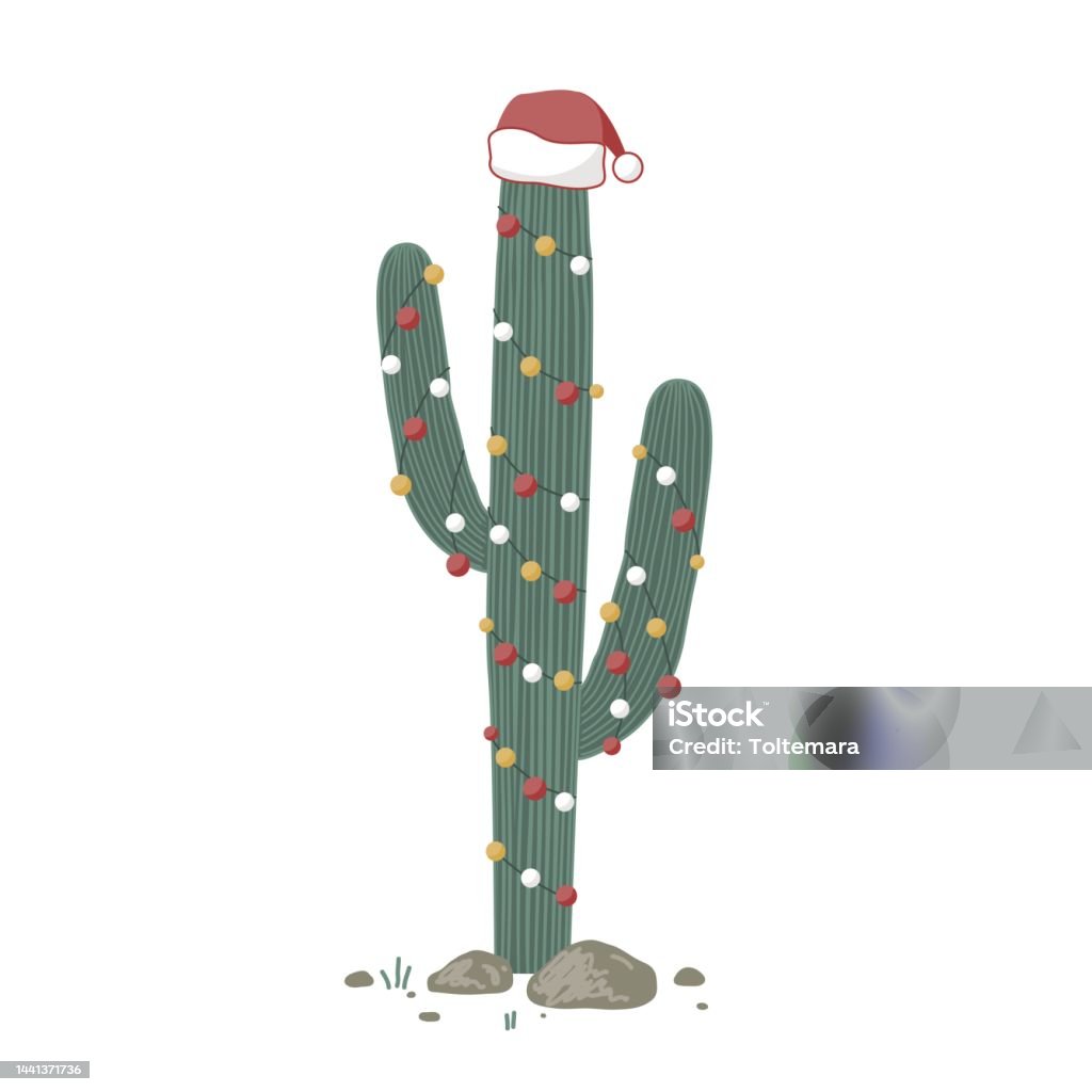 Cây Xương Rồng Giáng Sinh Lớn Được Trang Trí Bằng Vòng Hoa Xmas Và ...