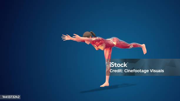 3d Human Virabhadrasana Iii Pose On Blue Background Stock Photo - Download Image Now