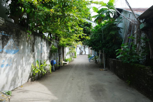 istock The resident area of Fulidhoo. 1441373808
