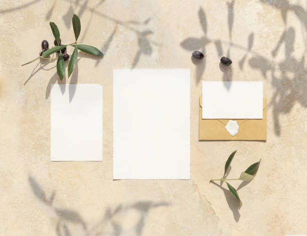 istock Blank cards on concrete table with olive tree branches and hard shadows, wedding mockup 1441375527