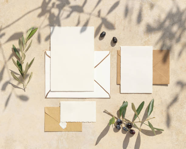 istock Blank cards on concrete table with olive tree branches and hard shadows, wedding mockup 1441375534