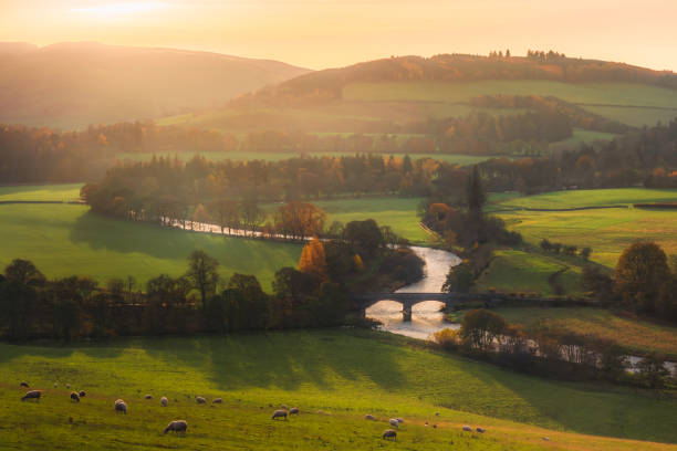 old manor bridge, schottland - peebles stock-fotos und bilder