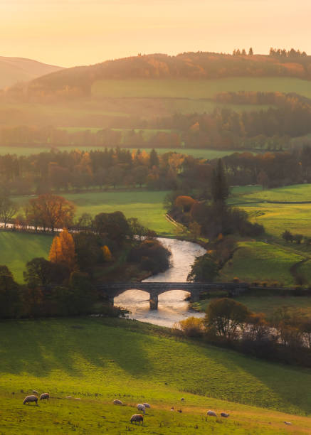 old manor bridge, schottland - peebles stock-fotos und bilder