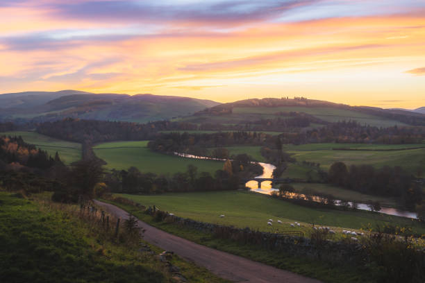 istock Old Manor Bridge, Scotland 1441376956