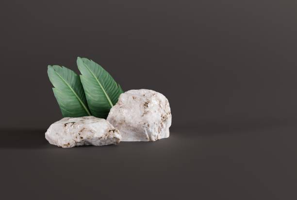 istock Granite stones on a yellow background, leaf shadow and green plants. 1441379129