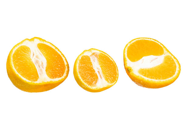citrus slice, orange and lemons isolated on white background, clipping path
