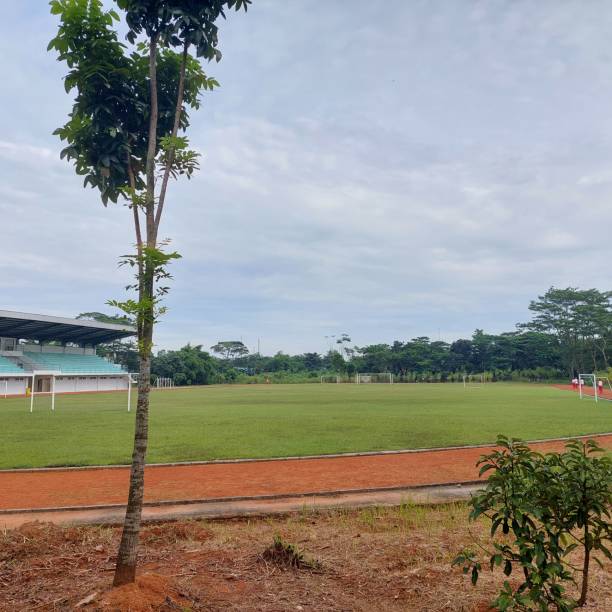 football field stadium and running track - sports track track and field stadium sport night imagens e fotografias de stock