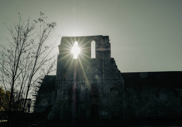 Walkenried monastery ruins in the back light