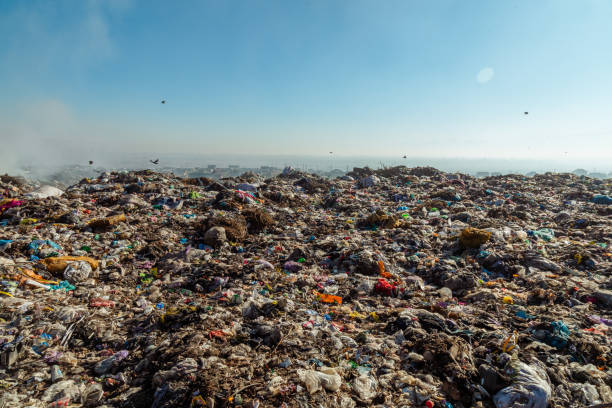 istock Burning trash piles in landfill 1441382942