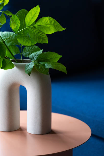 istock ceramic vase with leaf branch on modern side table indoors, closeup 1441383008