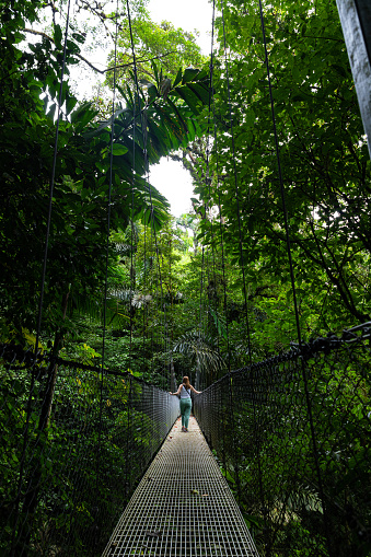 Girl walking Hanging bridge in the jungle of Costa Rica