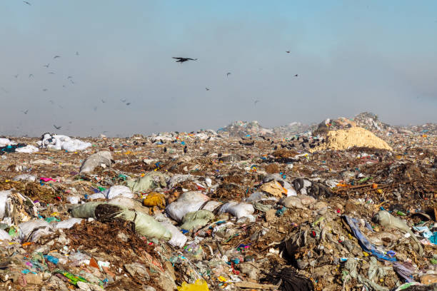 istock Burning trash piles in landfill 1441383863