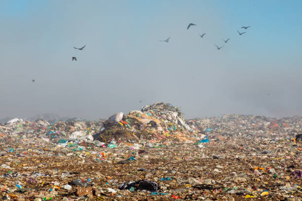 istock Burning trash piles in landfill 1441384102