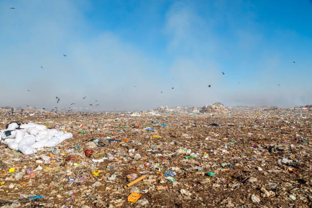 istock Burning trash piles in landfill 1441384152