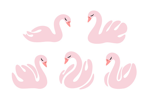 Cartoon swan. Flat illustration of bird. Childish print for nursery, kids apparel, poster, postcard, pattern.